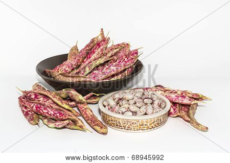 Borlotti Beans