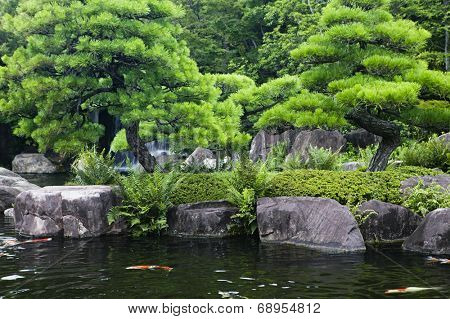 Japan, Himeji, Himeji Koko-en Gardens, pond with Koi Carps