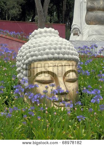 Buddha