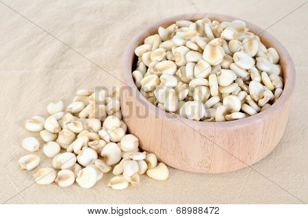 Giant Whilte Corn