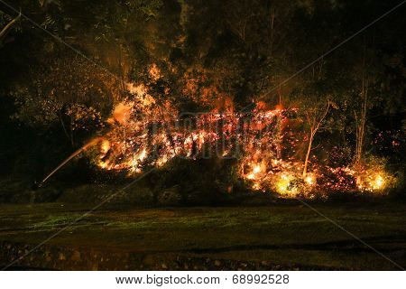 PUCHONG, MALAYSIA - JULY 26, 2014: A fire-fighter sprays water into the burning bushes in a forest fire at the foot hills of the Air Hitam Forest Reserve in Puchong, Malaysia. 