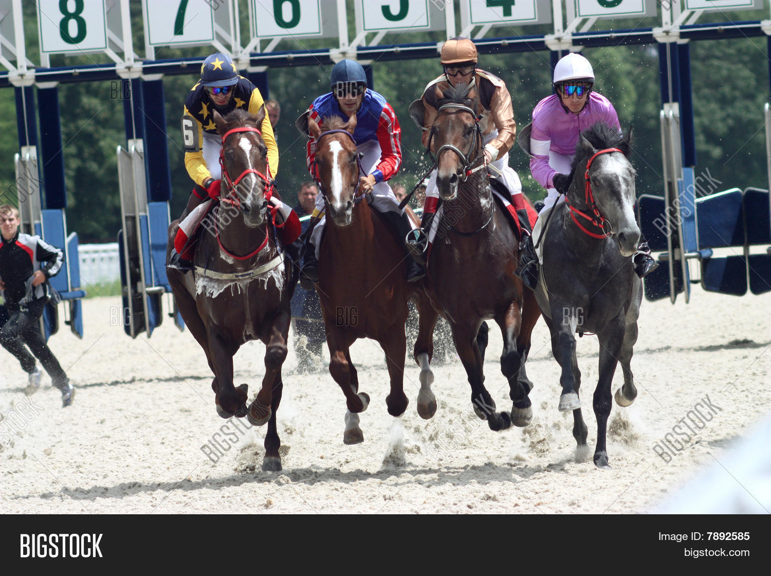 Four Horses Racing Image & Photo (Free Trial) Bigstock