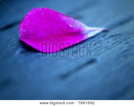 Petal.