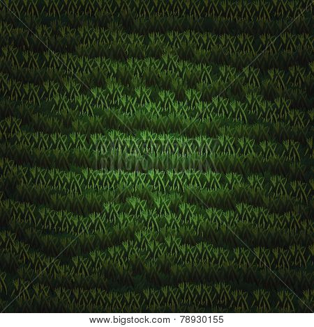 Pattern Grass
