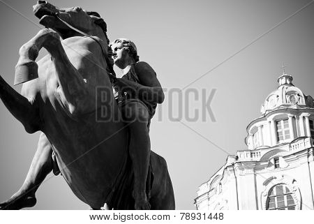 Prancing Horse In Royal Palace Of Turin (dioscuro Castor Statue)