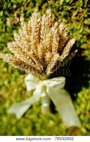 Spikelets Of Wheat In A Bouquet Laying On The Grass