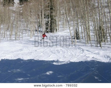 Kayakçı Aspens içinde