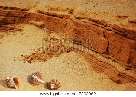 Kuuma hiekka seashell