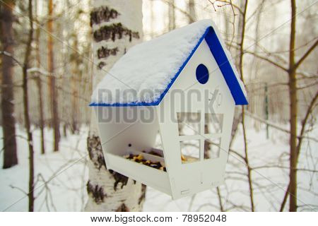 Bird feeder