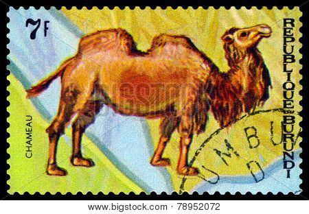 Vintage  Postage Stamp. Animals Burundi, Camel Chameau.