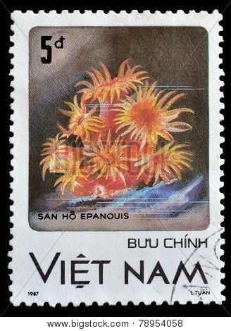 Vietnam 1987