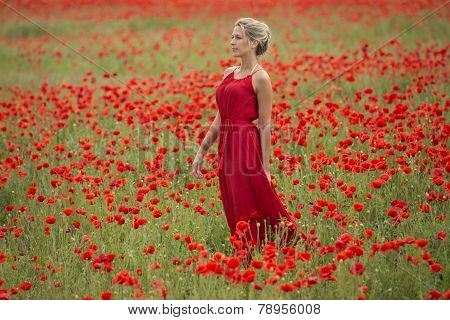 Beautiful blonde woman with red dress, in the middle of a poppy field