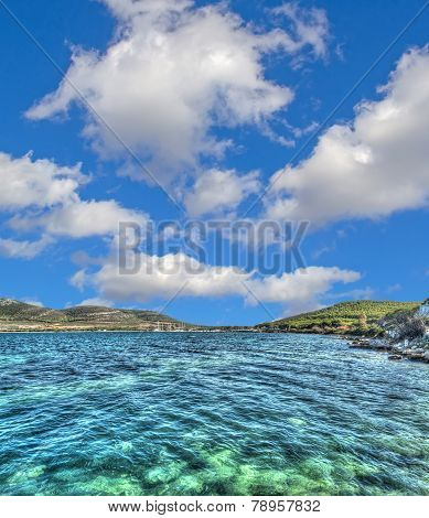 Porto Conte Shore On A Clear Day