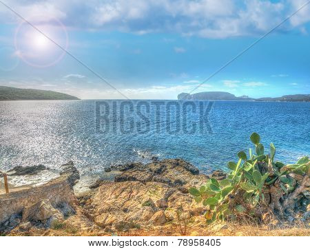 Rocky Shore In Porto Conte With Capo Caccia On The Background