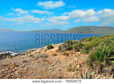 Porto Conte Shore Line