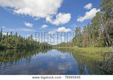 Sheltered Cove In The North Woods
