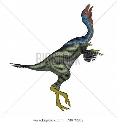 Caudipteryx dinosaur head up- 3D render