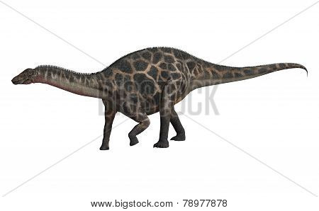 Dinosaur Dicraeosaurus