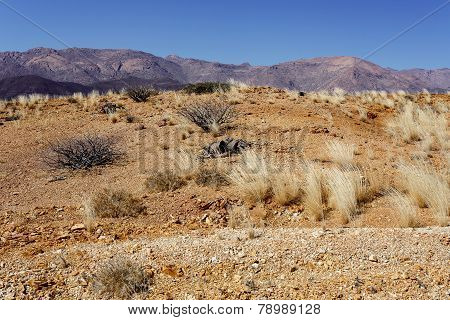 Fantrastic Namibia Desert Landscape