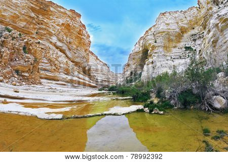 Ein Avdat National Park in the Negev desert. Magnificent canyon, creek and picturesque waterfall