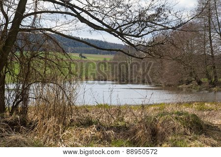 River Naab In Spring