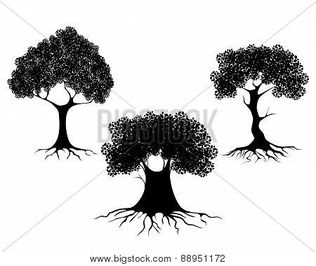 Three Trees Silhouettes