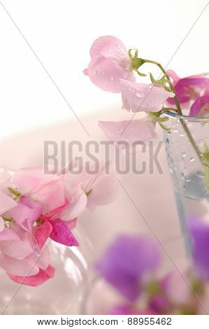 Sweet peas flower