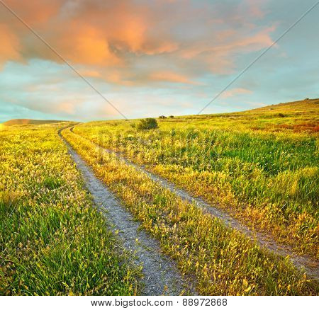 Summer landscape with green grass, road and sunset clouds