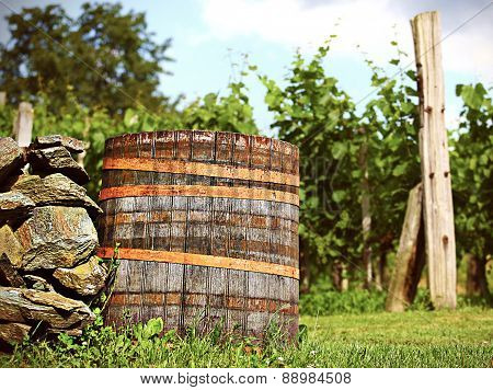 Barrel In Wineyard In The Sunset