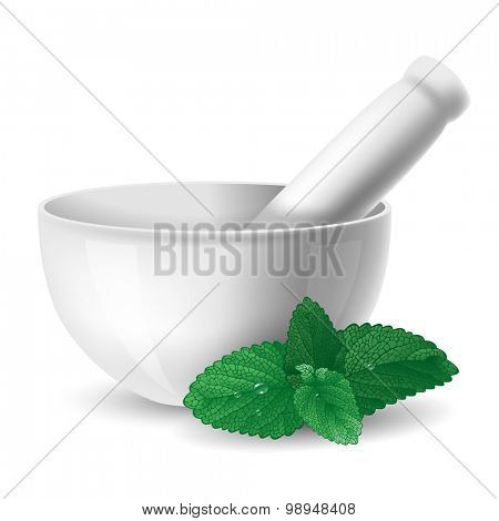 White ceramic mortar and pestle with green herbal leaf. Vector illustration. Isolated on white background.