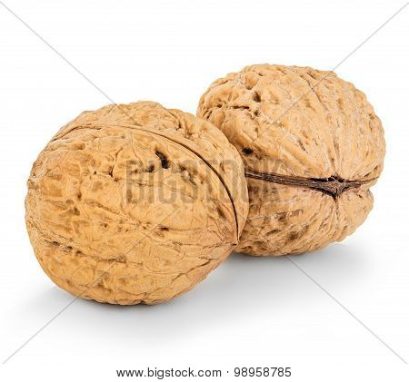 Walnuts Close-up Isolated On A White Background