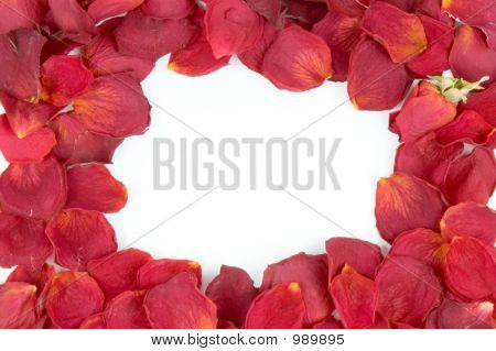 Telaio da petali di rosa rossa
