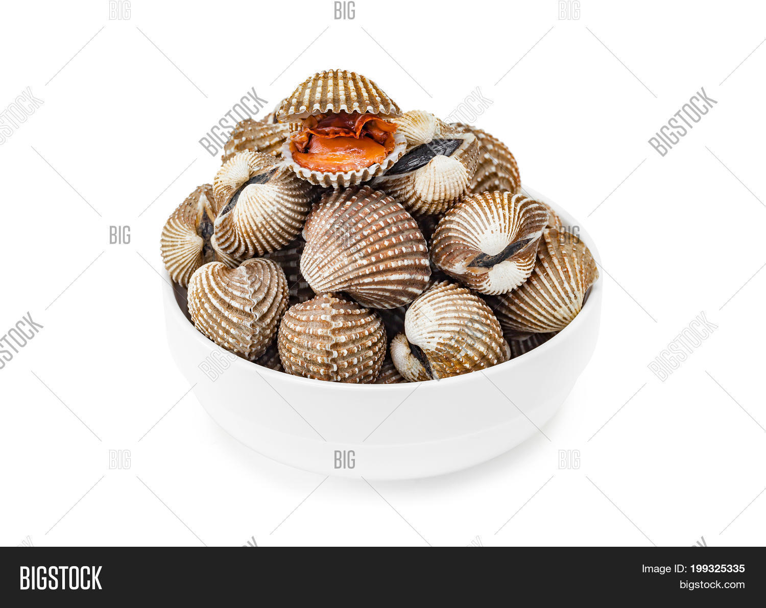 Image Preview