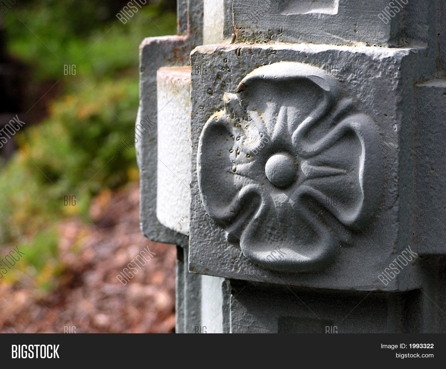 Image Preview