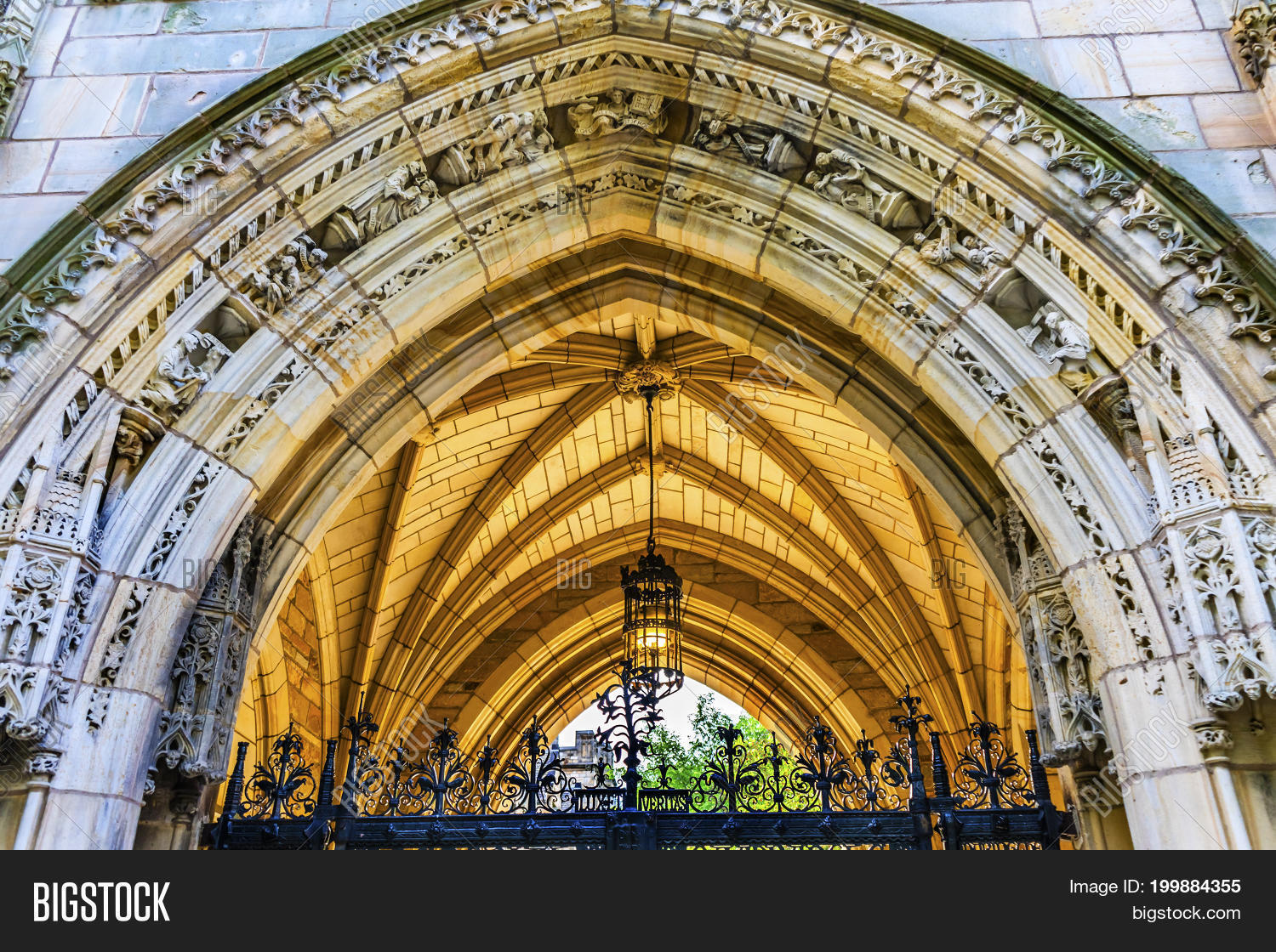 Image Preview