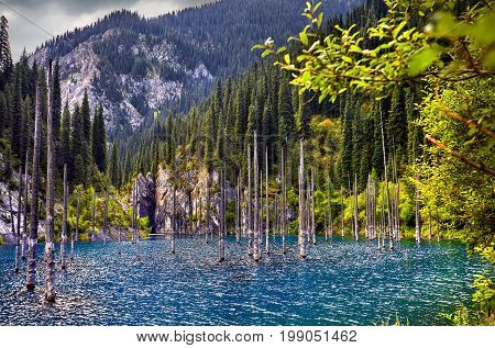 Beautiful Landscape Of Mountain Lake
