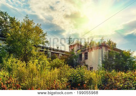 Old abandoned house at sunset under cloudy sky. House is covered by vegetation and surrounded by trees.