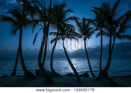 Beautiful full moon reflected on the calm water of a tropical beach with palm trees