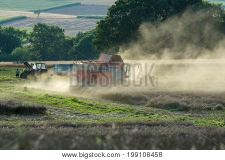 NEUSTADT GERMANY - JULY 30 2017: Harvesting on the fields in the suburbs of the small town of Neustadt (Marburg-Biedenkopf district in Hessen). Harvester on the field.