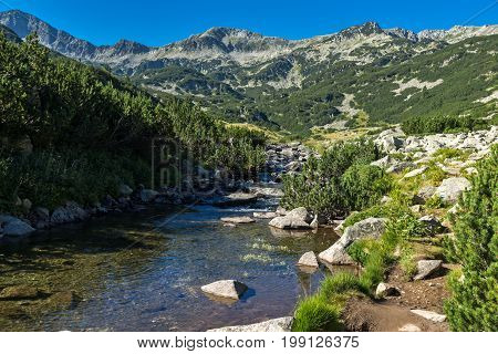 Amazing landscape of Mountain river and Banderishki Chukar peak, Pirin Mountain, Bulgaria