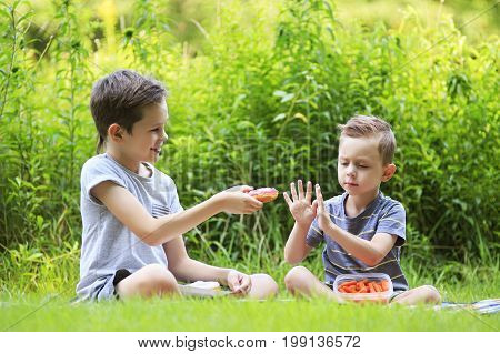 Boy refuses donut in favor of carrots. Two boys at a picnic outdoors. Toddler prefers baby carrots, not donuts. Concept of healthy nutrition