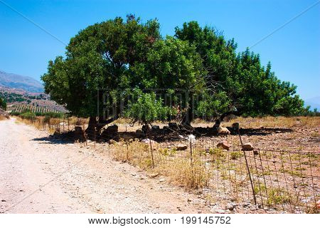 View of the Cretan wild countryside, nature and landscape