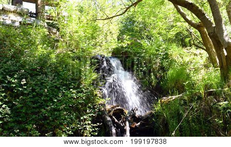 Water jumps cataracts in creek, The Montseny