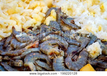 Many Dark Black Or Green King Size Shrimps With Pieces Of Fruits