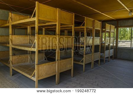 Dachau Concentration Camp Germany - August 29 2015: Inside sleeping quarters with wooden bunk beds from barrack room showing terrible prisoners living conditions from extermination camp.