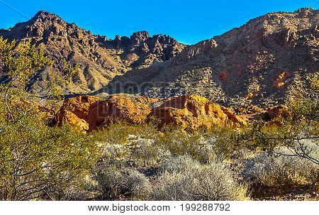 Lake Mead National Recreation Area Arizona USA