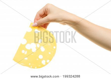 Slice of cheese with holes in female hands isolated on white background isolation