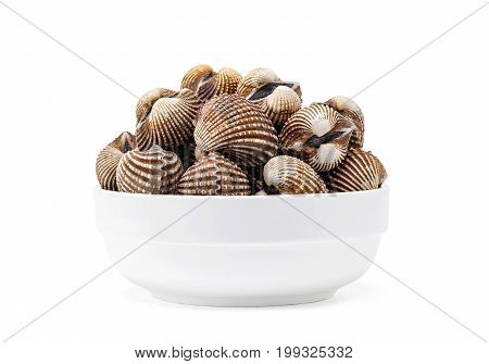 Cardiidae shellfish seafood in white bowl isolated on white background