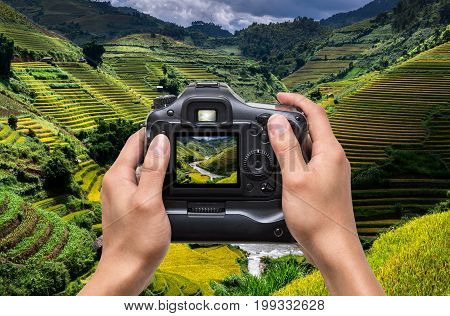 Hands holding the camera which taking photo of Rice fields on terraced of Mu Cang Chai District at sunrise time YenBai province Northwest Vietnam worm tone