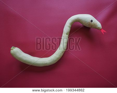 Snake Shaped Pumpkin Over Bourdeaux Red